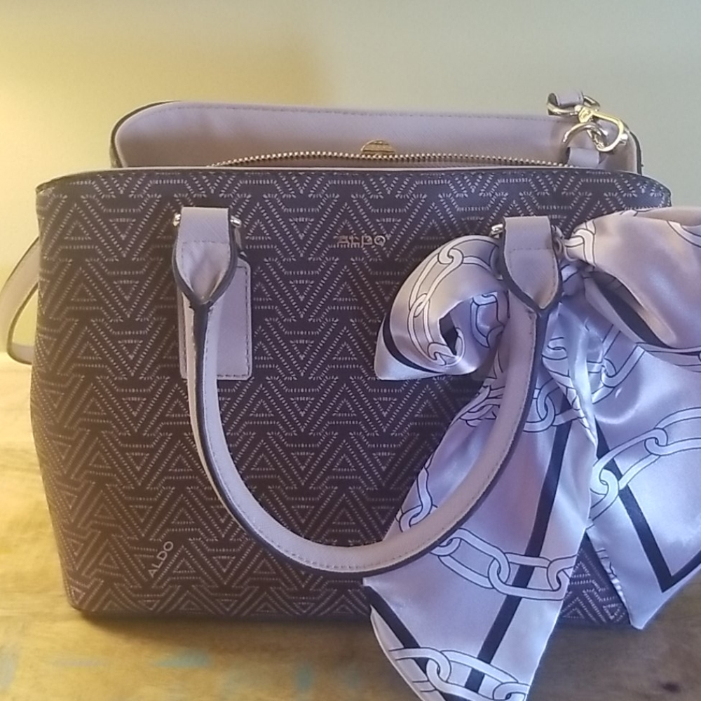 Aldo purse